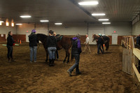 Loveway Equine Therapy, March 20, 2014