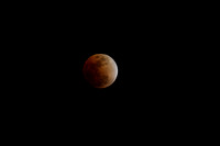 Lunar Eclipse, Feb 20, 2008